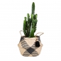 Preview: Seagrass Tribal Pattern Tassel Basket