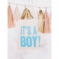 Preview: Tote - It's a Boy