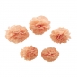 Preview: PomPom 5er Set Pastel Perfection - rosa