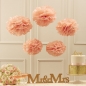 Preview: PomPom 5er Set Pastel Perfection - rosa