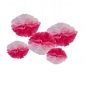 Preview: Pink Ombre Tissue Paper Pom Poms - Pick & Mix