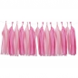 Preview: Pink Hanging Tassel Garland Kit - Pick & Mix