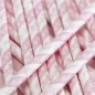 Preview: Princess Pink Carriage Paper Straws - Princess Party