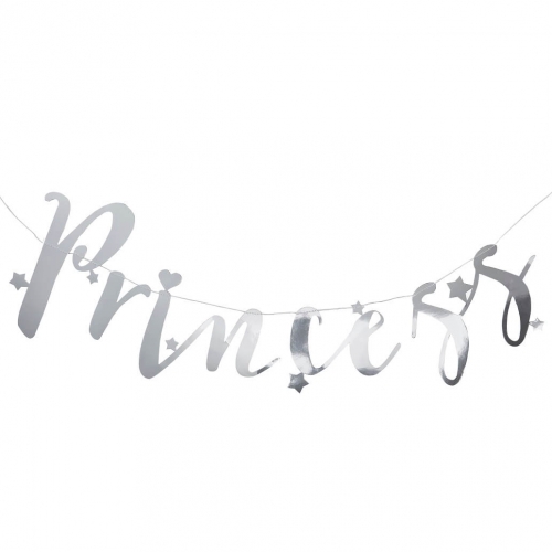 Silver Princess Backdrop Bunting Banner - Princess Party