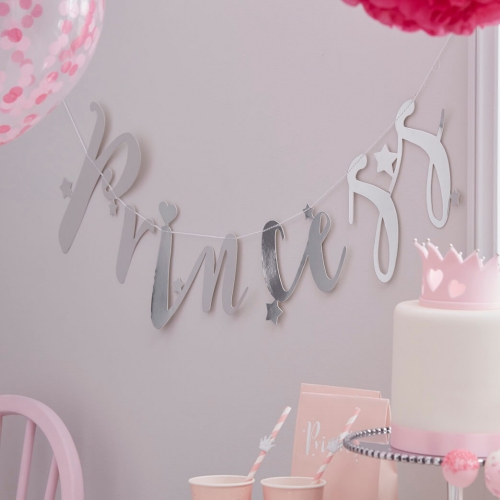 Silver Princess Backdrop Bunting Banner - Princess Party