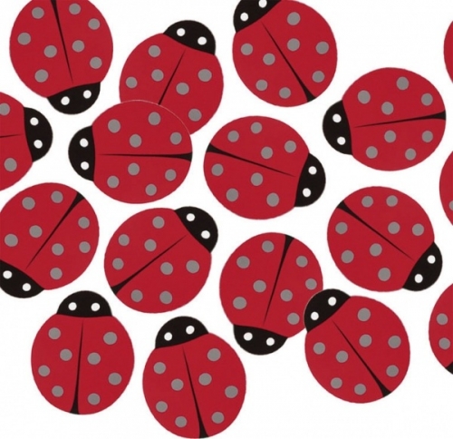 Deco confetti Ladybird