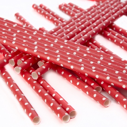 Polka Dot Paper Straws - Red