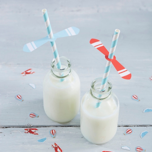 Propeller Paper Straws - Flying High